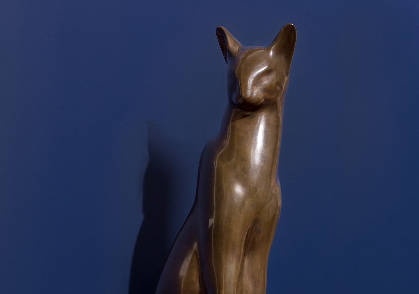 Heal's Cat Charity Auction