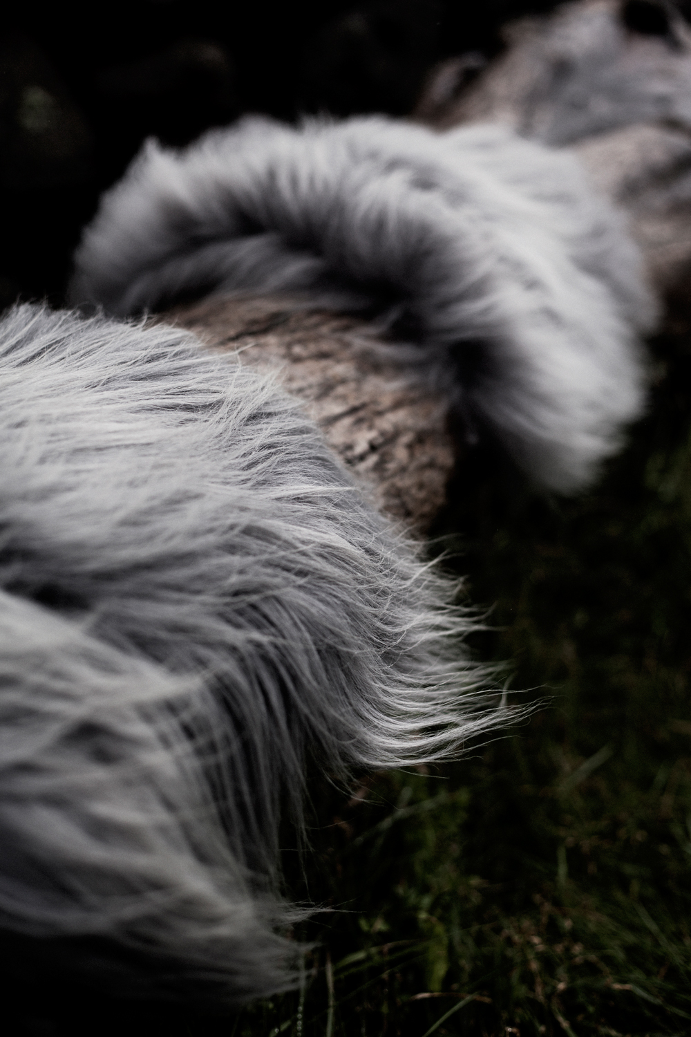 heals-the-organic-sheep-fur-rugs-throws-5