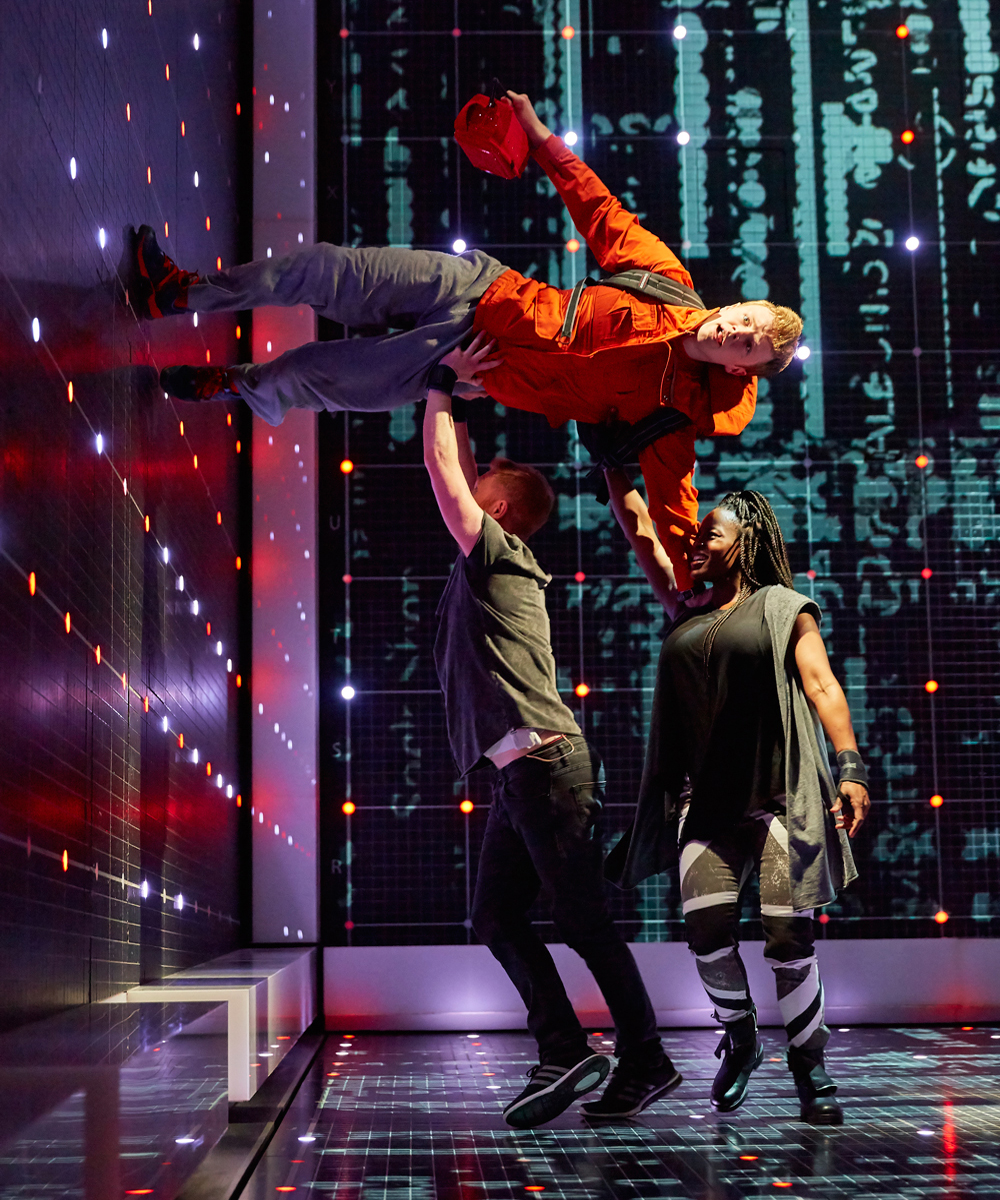 heals-the-curious-incident-of-the-dog-in-the-night-time
