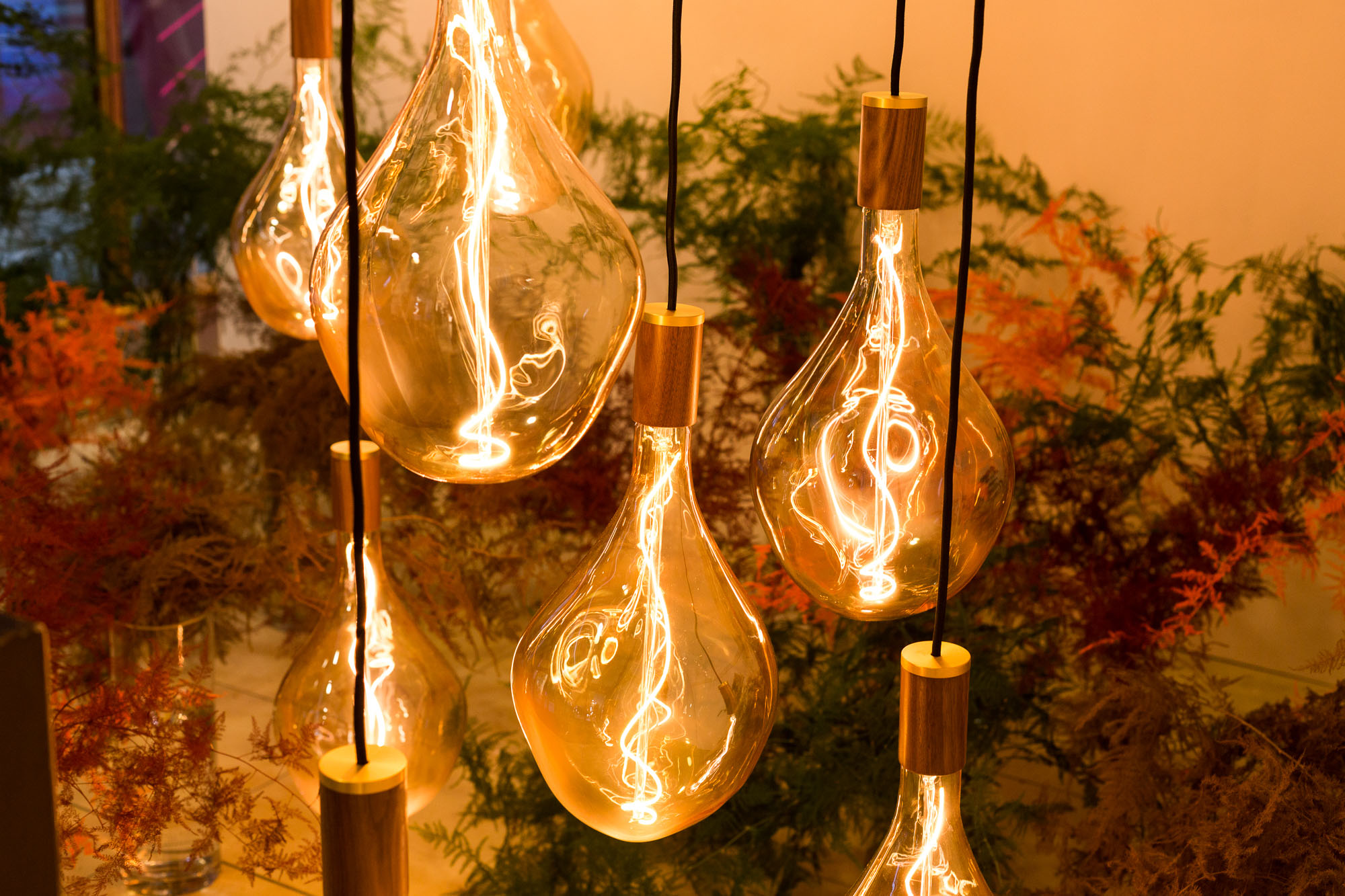 heals-festival-of-light-tala-voronoi-3