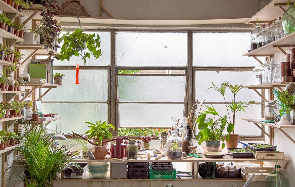 In The Studio London Terrariums Heal's Blog