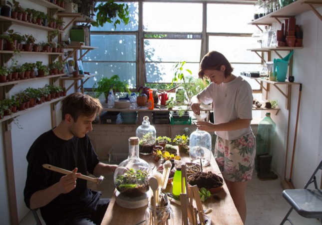 London Terrariums