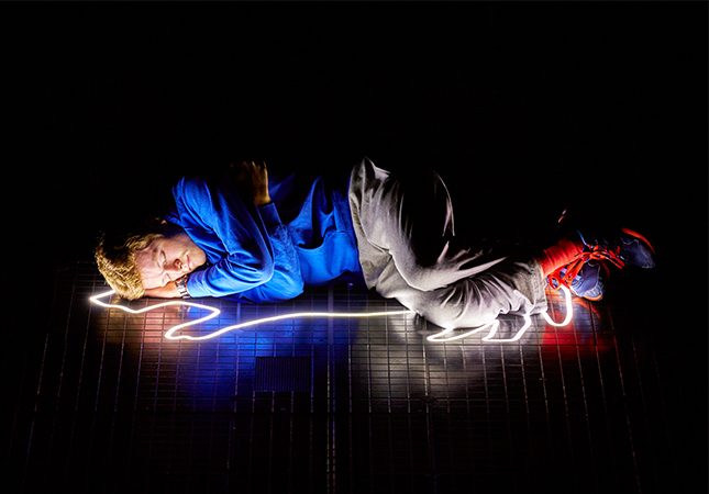 heals-the-curious-incident-of-the-dog-in-the-night-time