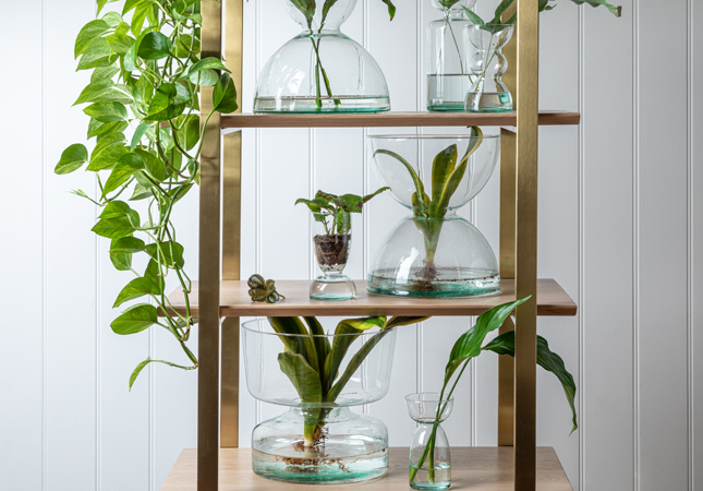 LSA Canopy Vases | Live sustainably by opting for recycled glass