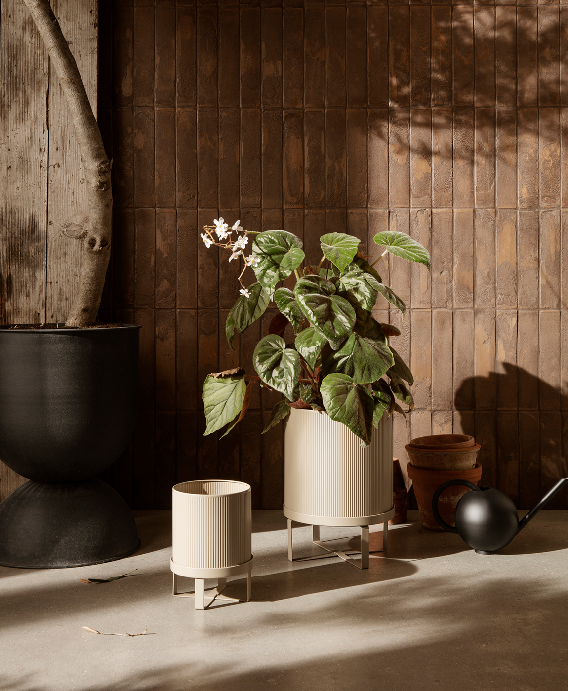 How To Look After Houseplants And Terrariums