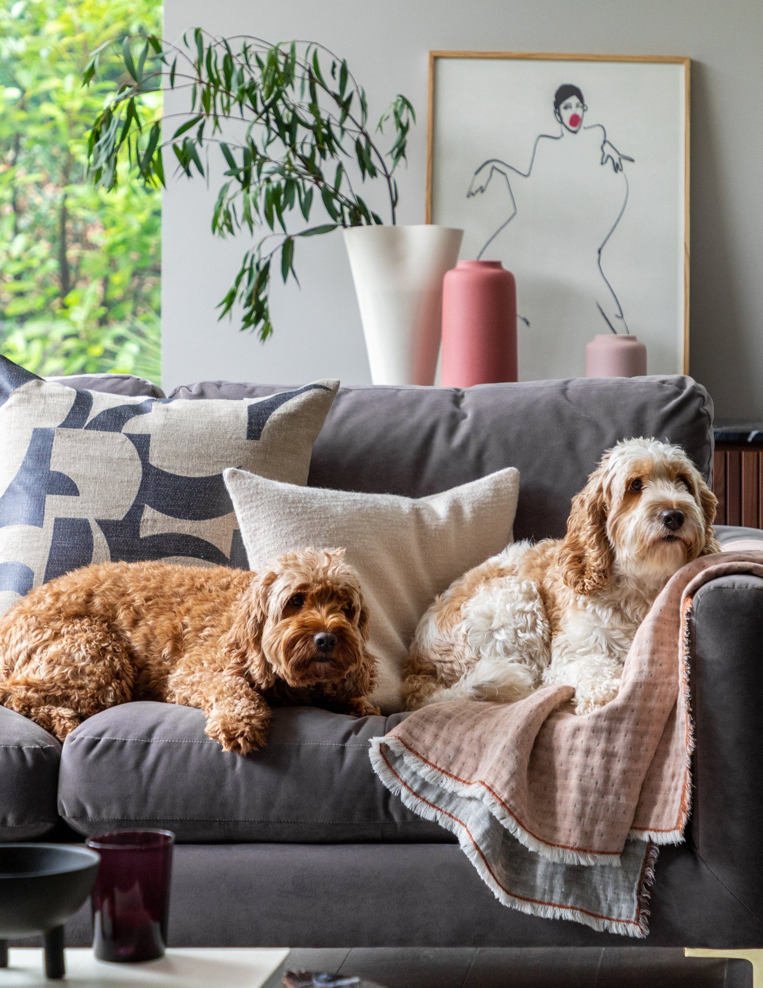 Heal’s Home: Celebrating National Pet Day