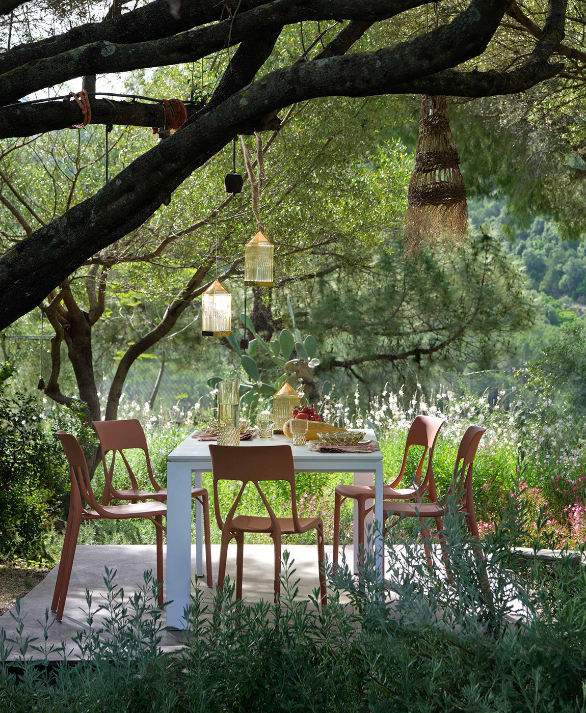 5 Easy Steps To Transform Your Garden