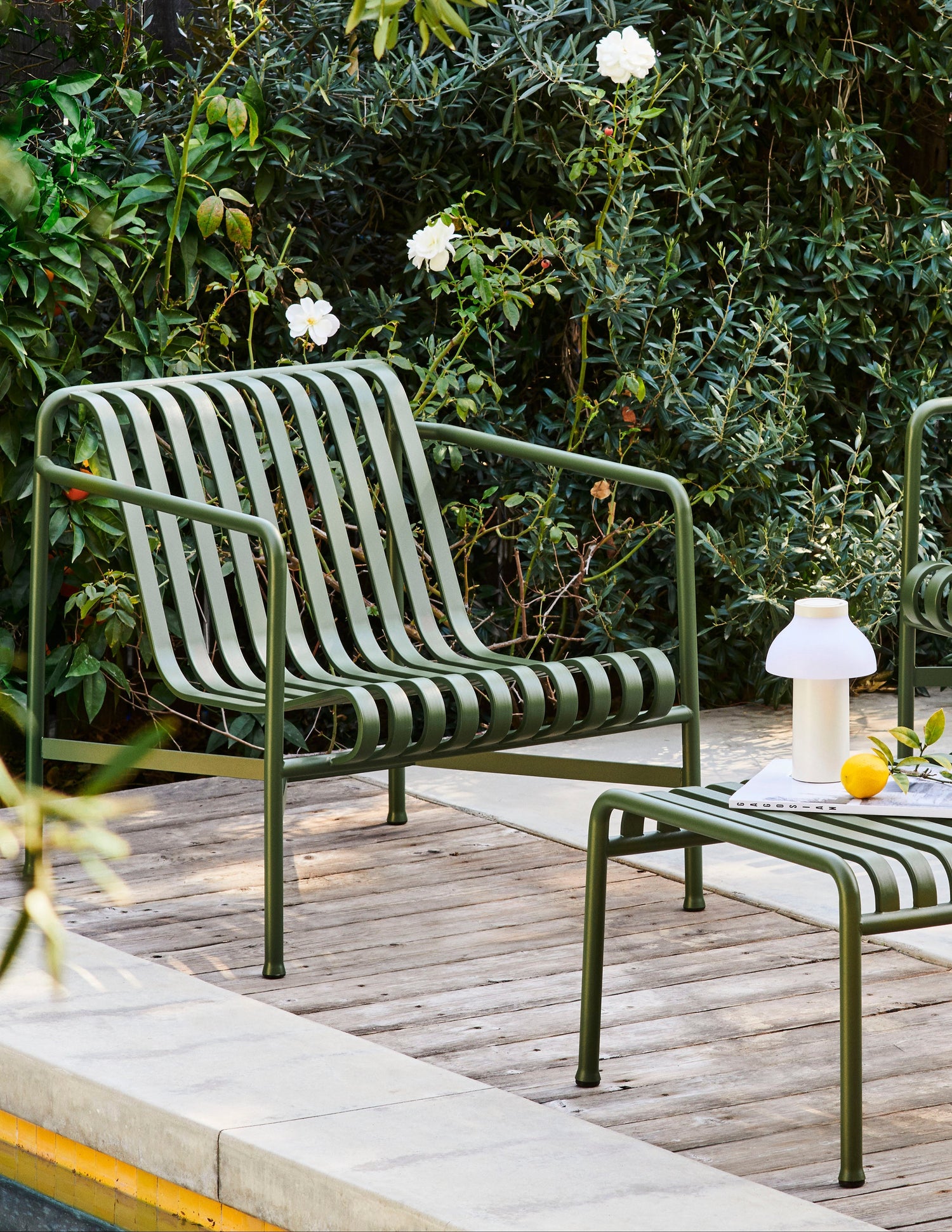 Reclaim Your Garden