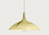 1965 Pendant Light