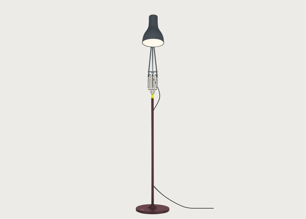 Type 75 Floor Lamp Anglepoise Paul Smith Edition 4
