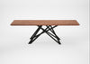 Bespoke Dining Table Vienna Oiled Walnut / 240cm / 100cm