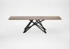 Bespoke Dining Table Vienna Grey Oiled Oak / 260cm / 90cm