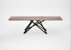 Bespoke Dining Table Vienna Grey Oiled Oak / 260cm / 100cm