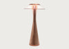 Space LED Portable Table Lamp