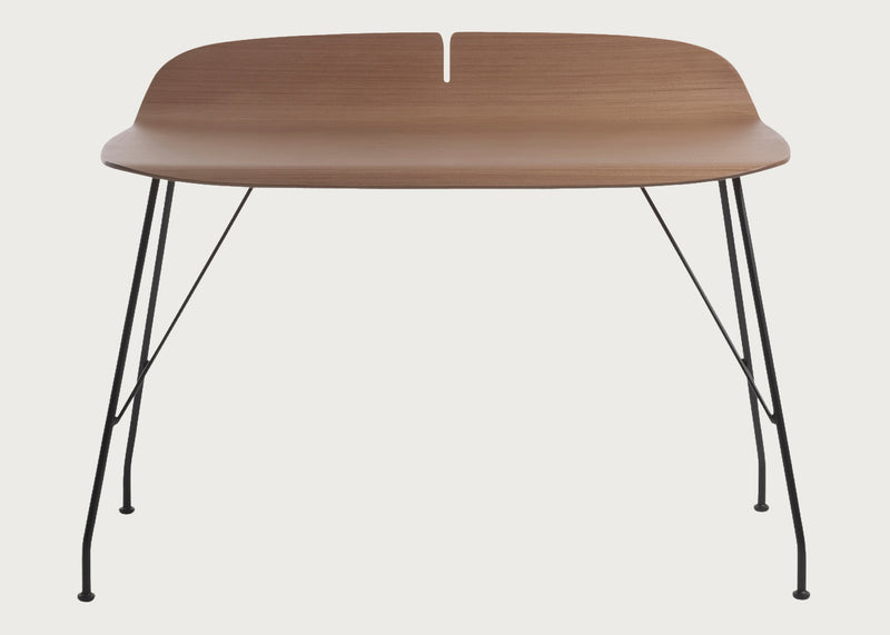 Earl of Wood Desk