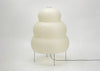 Akari 25N Floor Lamp