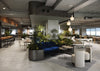 Alumina Triple White Pendant Light Canopy