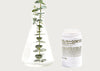 Eucalyptus Deodorant