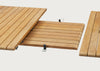 Pelagus Extension Panel