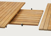 Pelagus Extension Panel