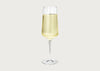 Bernadotte Champagne Flute Set of 6