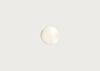Dioscuri Wall/Ceiling Light