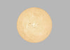 Speckled Wall/Surface Lamp IP44 White