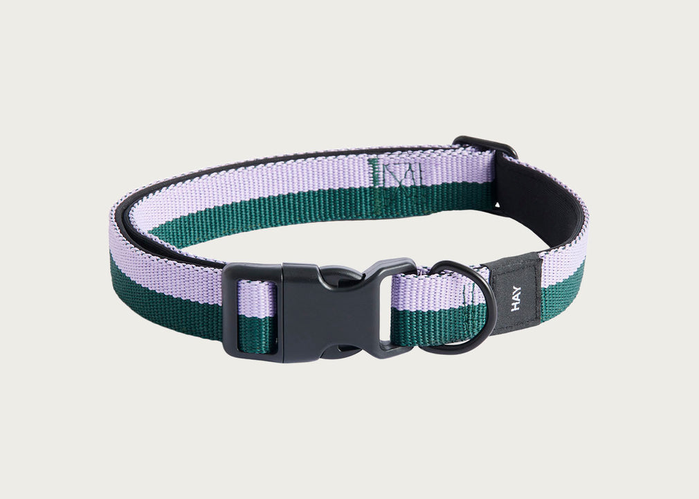 HAY Dog Collar Flat