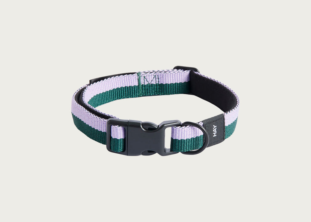 HAY Dog Collar Flat