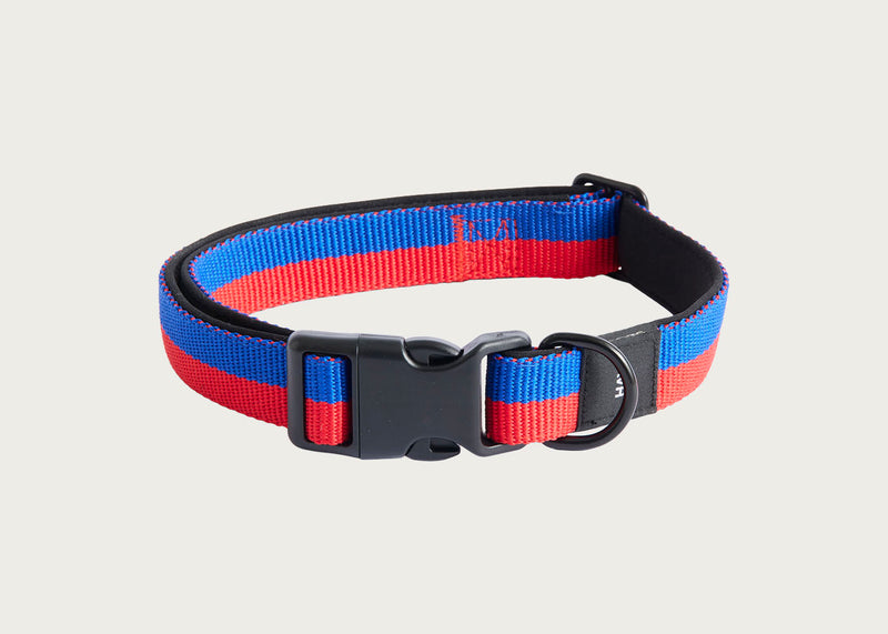 HAY Dog Collar Flat