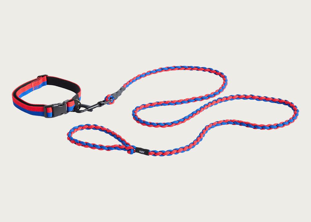 HAY Dog Leash Braided