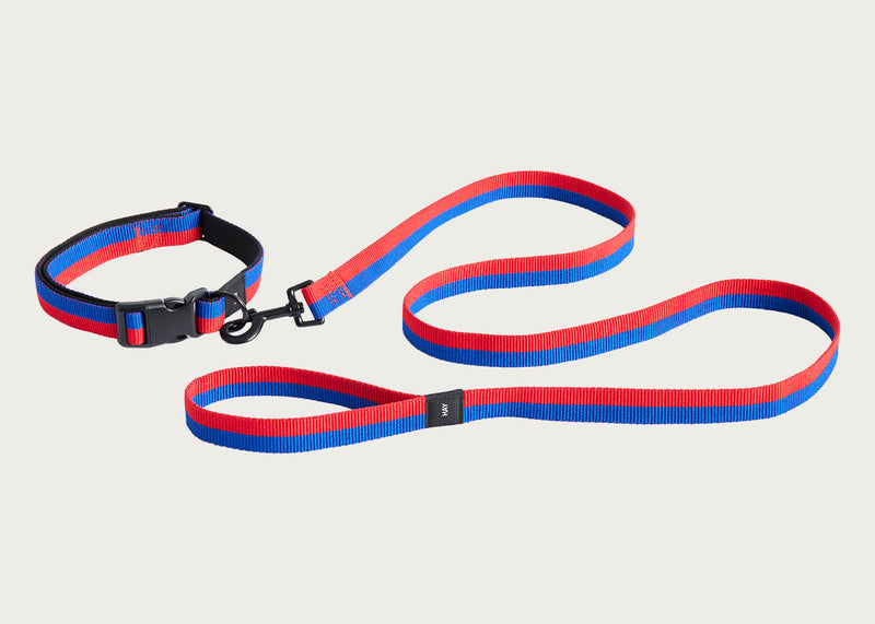 HAY Dog Leash Flat