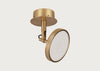 Asteria LED Spotlight Polished Brass