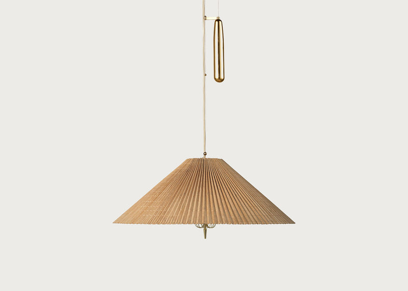 1972 Pendant Light