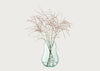 Seeds Curved Glass Vase