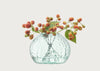 Seeds Short Glass Vase