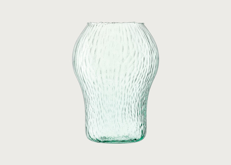 Seeds Glass Vase
