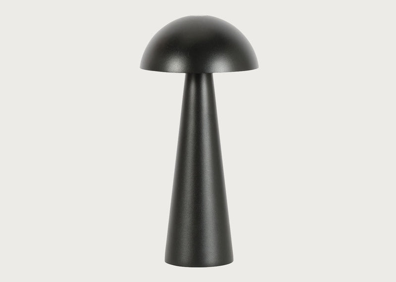 Ero LED Outdoor Portable Lamp