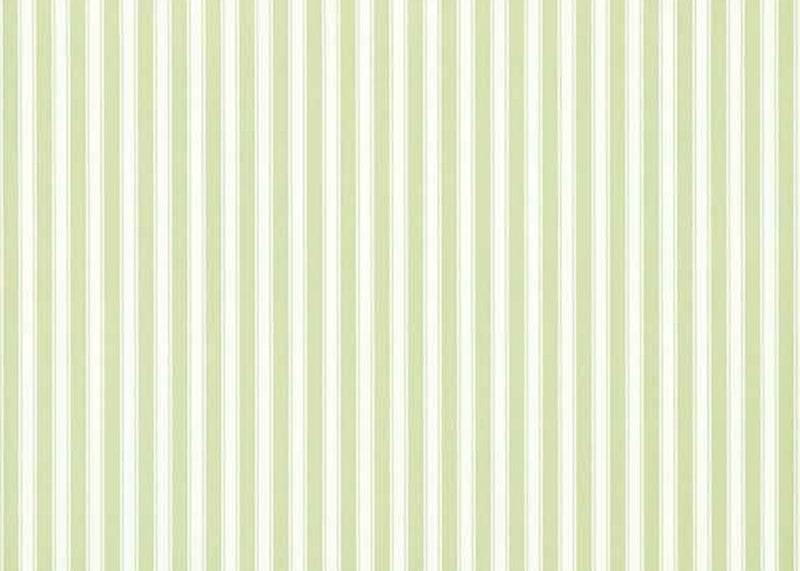 New Tiger Stripe Wallpaper