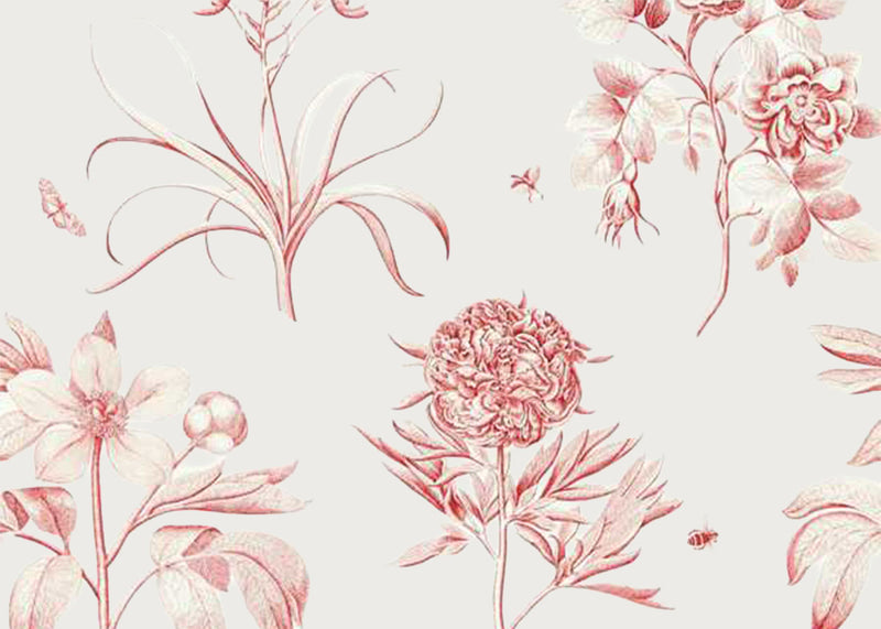 Etchings & Roses Wallpaper