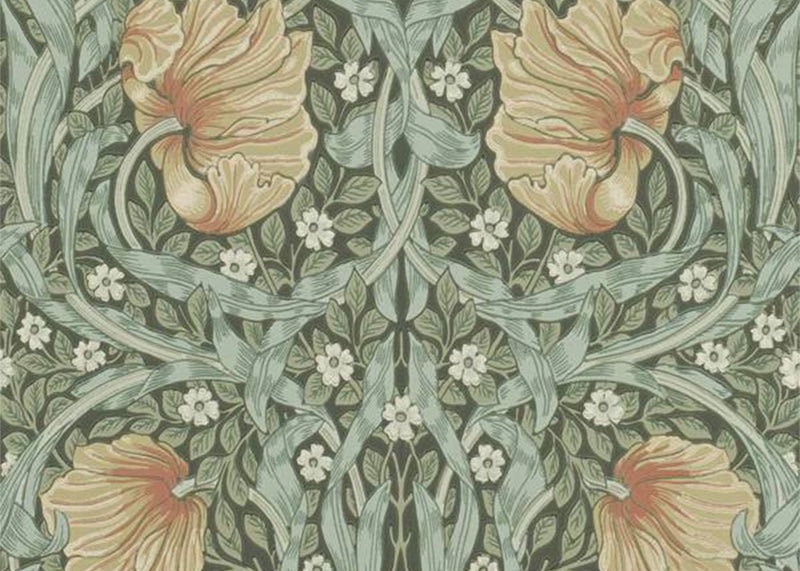 Pimpernel Wallpaper