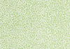 Standen Wallpaper