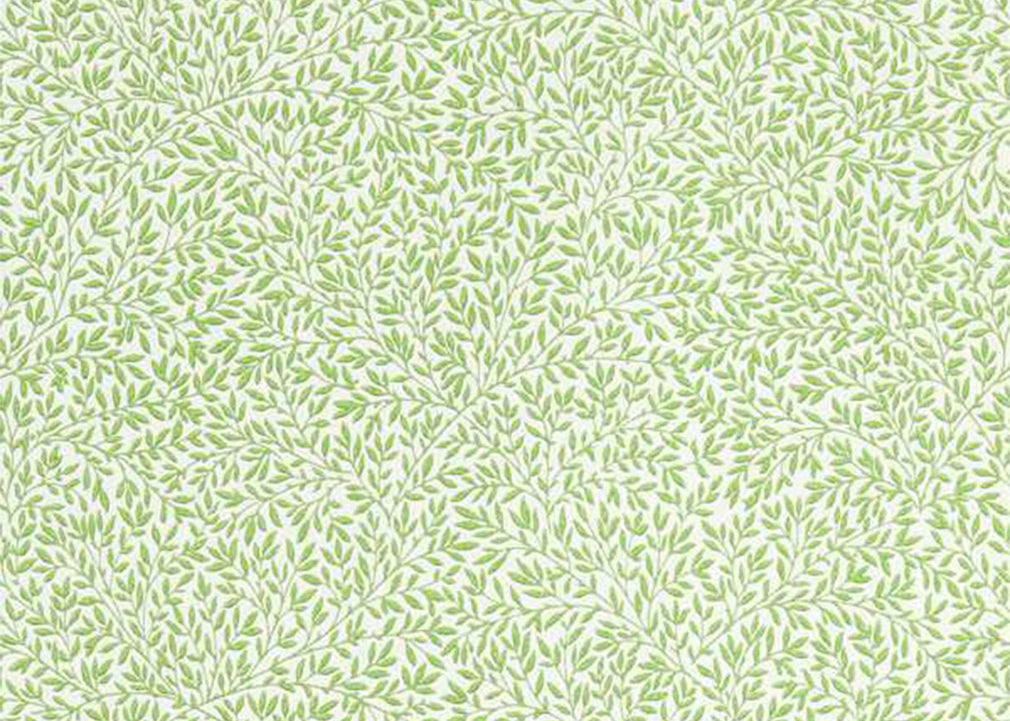 Standen Wallpaper