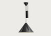 Compass Adjustable Pendant Light