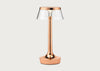 Bon Jour Unplugged LED Portable Table Lamp