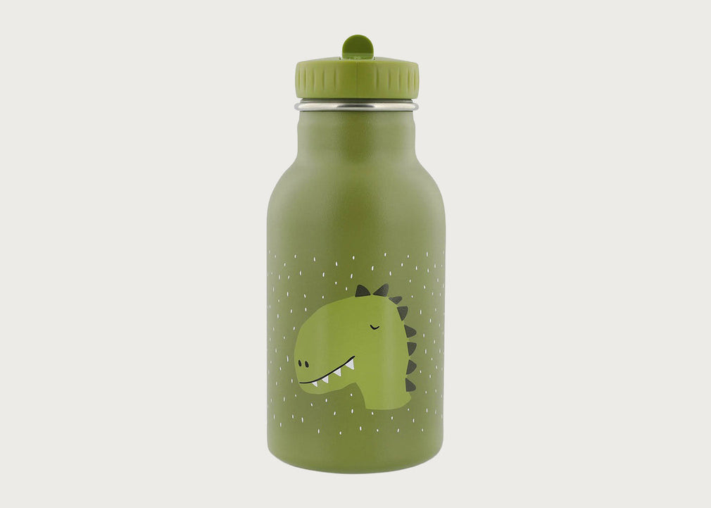 Mr. Dino Bottle 350ml