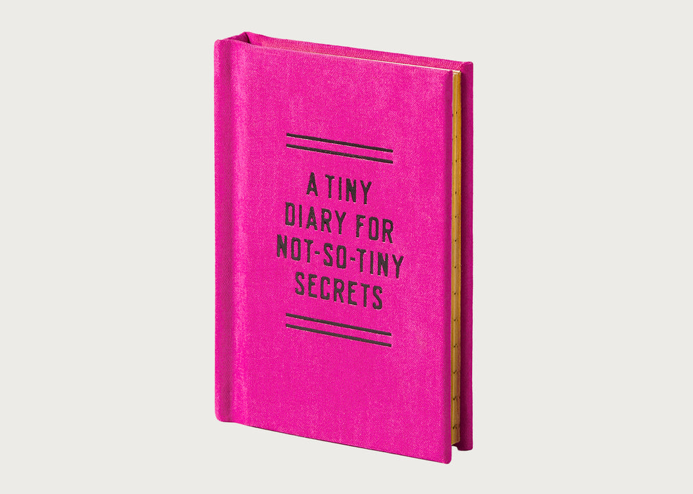 Tiny Book Diary for Not So Tiny Secrets