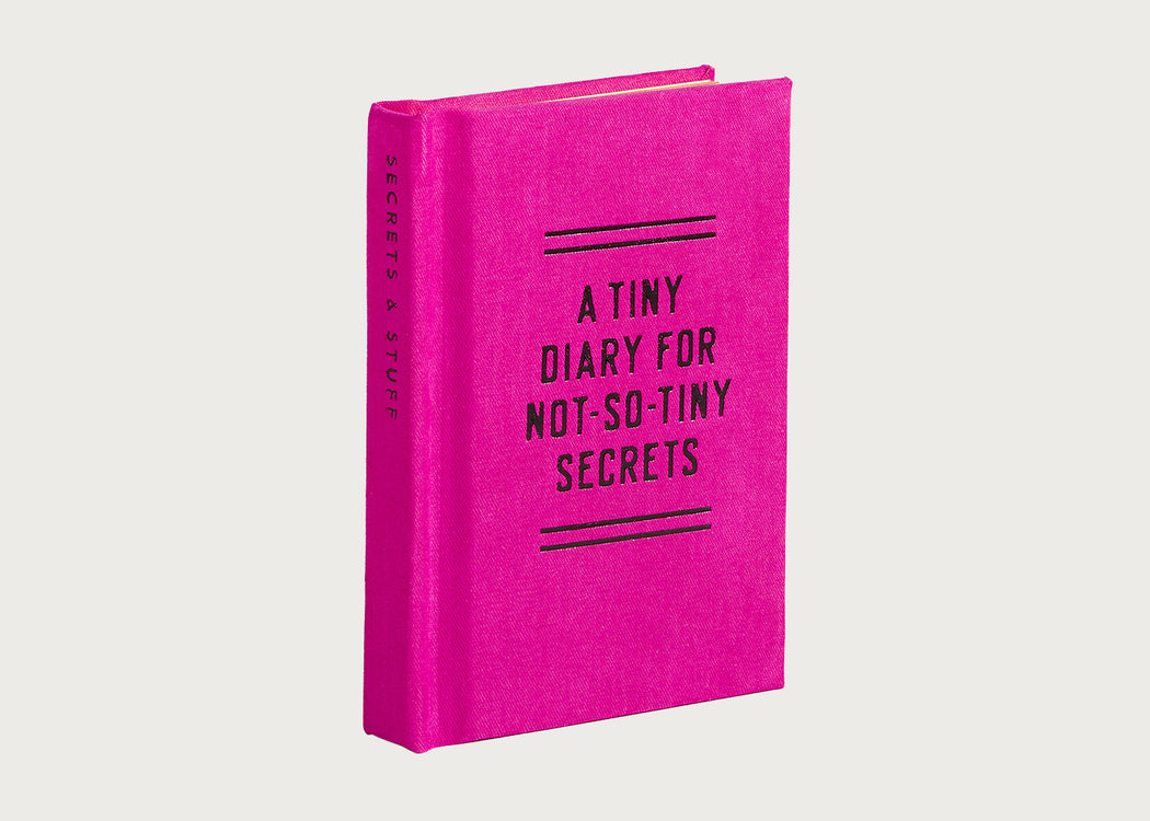 Tiny Book Diary for Not So Tiny Secrets