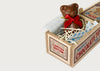 Arthur the Scrumptious Bear Chocolate