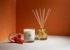 Grapefruit & Vetiver Diffuser Refill